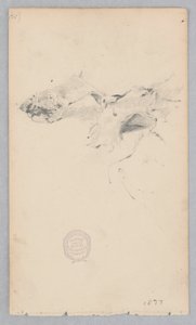 Tigrisbőr szőnyeg alkotó: Robert Frederick Blum