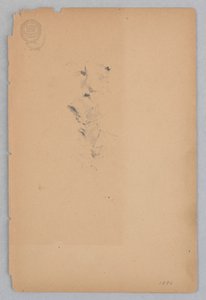 Nő alkotó: Robert Frederick Blum
