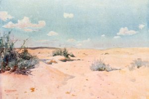 Sivatagi tanulmány Tel-el-Kebirben (színes litográfia)