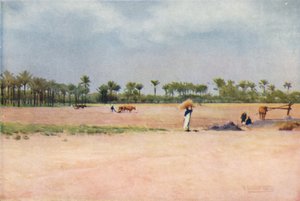 Esbet-El-Ekiad – Gosen földje, 1880, 1904