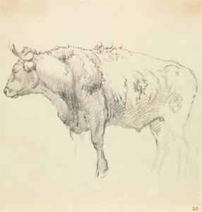Egy bika alkotó: Robert Hills