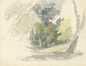 Egy erdei tisztás alkotó: Robert Hills