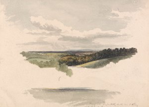 Netley Heath és Albury között alkotó: Robert Hills