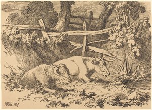 Szarvasmarha pihen alkotó: Robert Hills