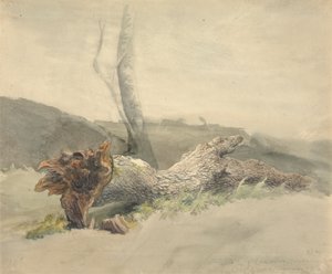 A kidőlt fa alkotó: Robert Hills