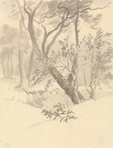 A fa alkotó: Robert Hills