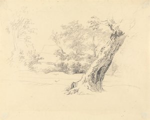 Fa tanulmány alkotó: Robert Hills