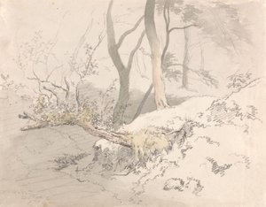 Erdei árnyék alkotó: Robert Hills