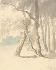 Erdőföldi tanulmány alkotó: Robert Hills