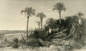 „Florida partján”, 1872.