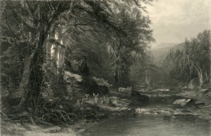 "The Adirondack Woods", 1874.
