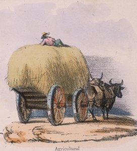 „Mezőgazdasági”, 1845