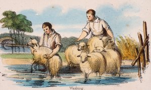 „Mosás”, c1845