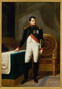 I. Napóleon császár mint a Chasseurs a cheval de la garde ezredese ... (festmény, vászon) alkotó: Robert Lefevre