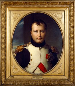 Napóleon Bonaparte portréja, 19. század