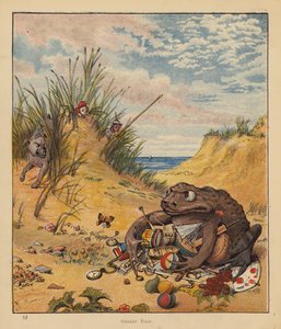 A cica zarándokai: Mohó varangy (színes litó) alkotó: Robert Michael Ballantyne
