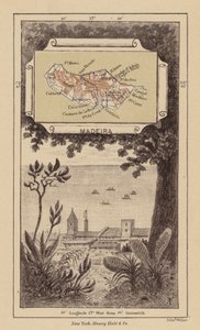 Fa (metszet)