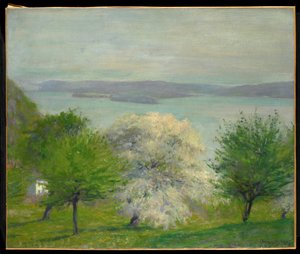 Almavirág, 1903