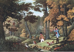 Fácánlövészet Uxbridge közelében, Nature in Britain, kiadó: Collins, 1946