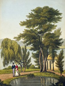 Clifton, a „The Naturama, or, Nature
