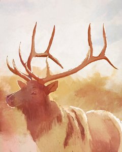 Bull Elk, 2023 (digitális)