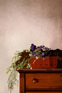 The Dresser, 2023 (digitális) alkotó: Roberta Murray