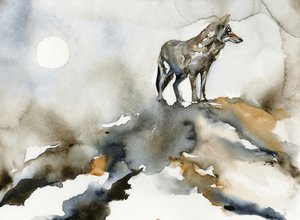 A magányos farkas holdja alkotó: RodMacIver