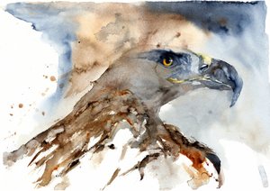 Fenséges akvarell sas alkotó: RodMacIver