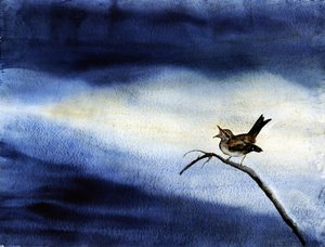 Éneklő madár, sötét égbolt alkotó: RodMacIver