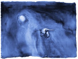 Solo Migration Lumaprints