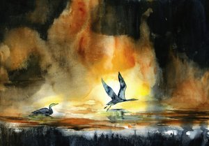 Naplemente és vízimadarak alkotó: RodMacIver