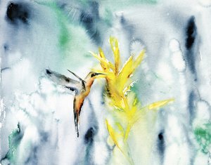 Élénk színű kolibri-virág alkotó: RodMacIver