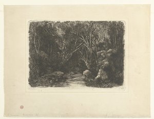 Erdei táj patakkal és kilógó fákkal Le Ruisseau sous bois alkotó: Rodolphe Bresdin