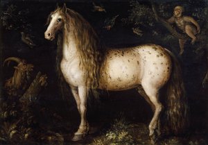 A foltos szürke, c. 1625-1630