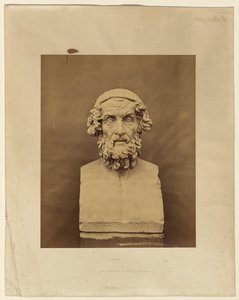 Homérosz, a British Museum mellszobra nyomán alkotó: Roger Fenton