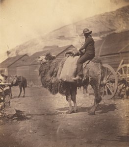 [Tevén lovagló férfi] alkotó: Roger Fenton