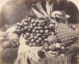 Csendélet gyümölccsel, 1860. alkotó: Roger Fenton