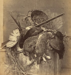 [Csendélet vaddal és puskával] alkotó: Roger Fenton