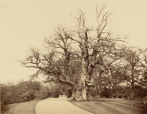  alkotó: Roger Fenton