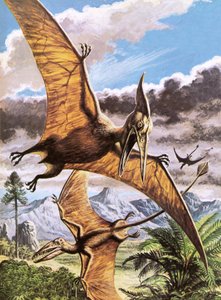 Pteranodon (fent) és Rhamphorhynchus (lent) alkotó: Roger Payne