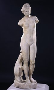 Cirénéi Aphrodité alkotó: Roman