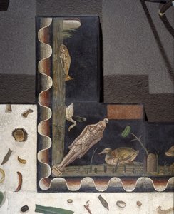 „Asarotos” (Söpöretlen padló) Harakliton által aláírt mozaiktöredékek Rómából, Kr.u. 2. század, Róma alkotó: Roman