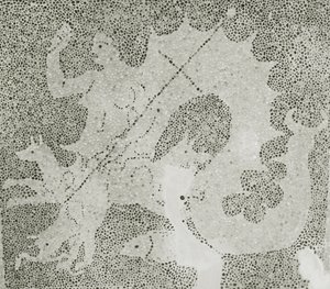 Helenisztikus kavicsos mozaik Scylla és Charybdis a szorost őrzi, Scylla részlete. Dionüszosz-ház, Paphos, Ciprus mozaik alkotó: Roman