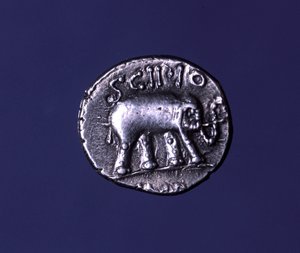 Ezüst érme, amely egy elefántot, a Scipions fetiche állatát ábrázolja. Lucius Caecilius Metellus Kr.e. 251-ben elfoglalta a karthágói elefántokat. Kr.e. 47-46. alkotó: Roman