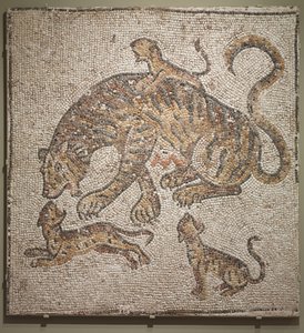 Tigris és kölykök, i.sz. 300 körül alkotó: Roman