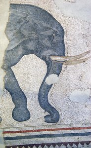 Ismeretlen kép alkotó: Roman
