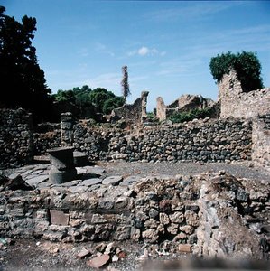 Kilátás a romos házakra alkotó: Roman