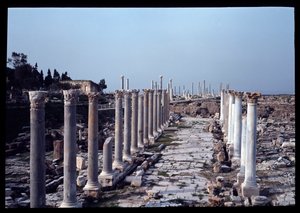 A régészeti lelőhely látképe, 2-4 alkotó: Roman