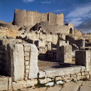 Kilátás a licinai fürdőre alkotó: Roman