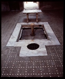 A fa válaszfal házának átriuma, Kr. e. 5. század – Kr. u. 1. század alkotó: Roman Roman